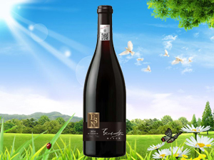 �W�Z�£���򣩇��H�Q(m��o)�����޹�˾