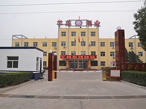 ɽ�����ƘI(y��)�ɷ����޹�˾