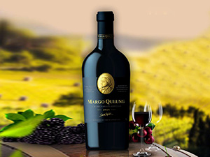 ˹����ƘI(y��)�l(f��)չ���Ϻ������޹�˾