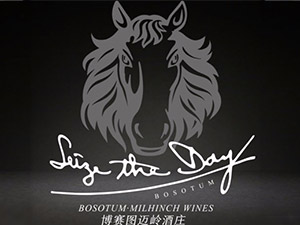 ���޲�ِ�D�~�X���f