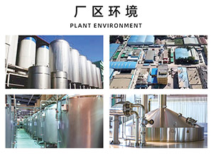 ɽ�|Ӣ��ơ�����޹�˾