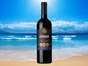 ���ھƶ���(gu��)�H�ƘI(y��)���޹�˾