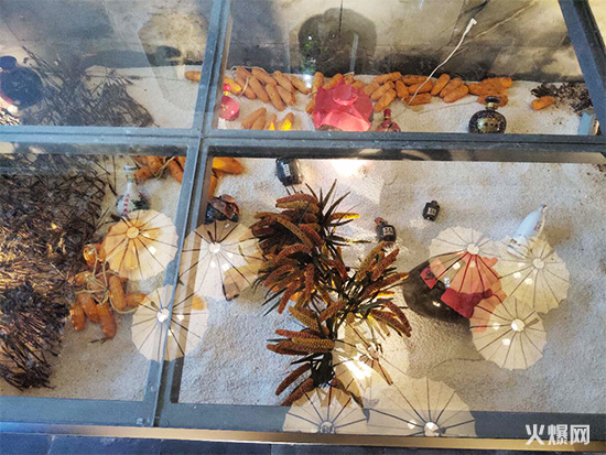 �𱬾W(w��ng)����ž����L��X���ؾƘI(y��)��������I(y��)�Ļ���