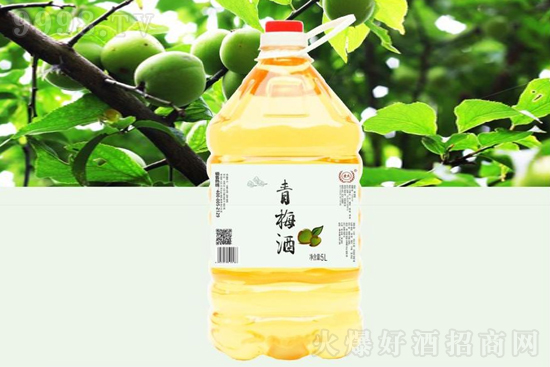 12���S�ϻ����ƃr(ji��)��(chu��ng)����÷��Ůʿ�ͶȾ��ֹ�������5L�r(ji��)�񣬶����X��