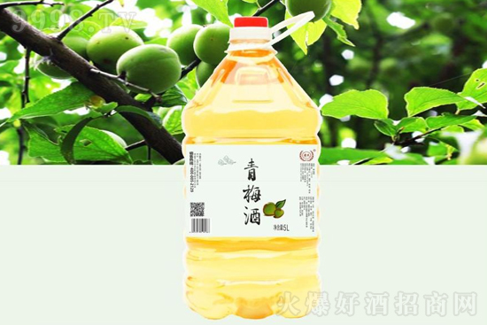 12���S�ϻ����ƃr���S����÷���ֹ�����5L�r�񣬶����X��