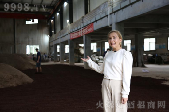 ه�����׾�