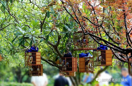 ��ͬ��ƘI(y��)