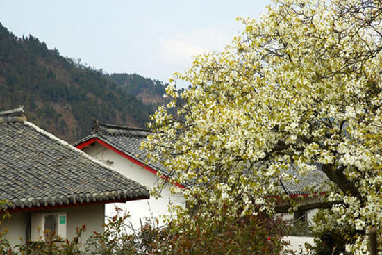 �ɶ���ػ�ơ��l(xi��ng)������+����������滨���l(xi��ng) �������r(n��ng)�彨�O(sh��)