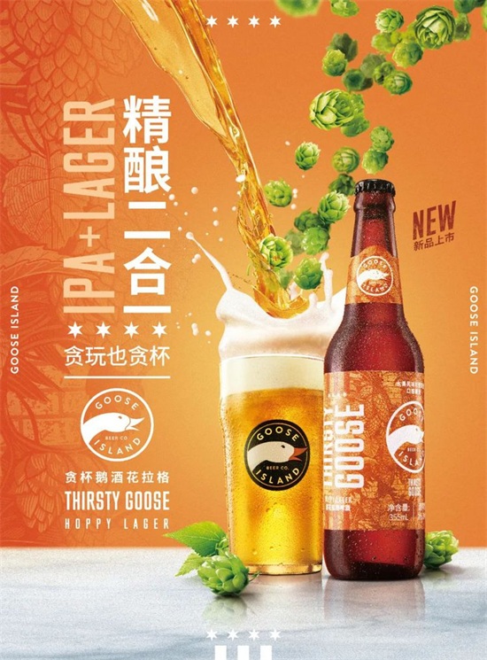 ؝���Z�ƻ�����ơ��