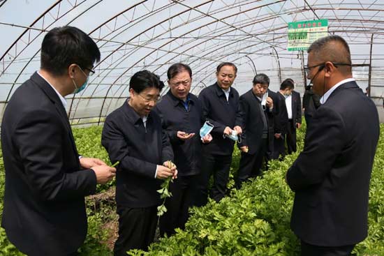 ������r(n��ng)�����F(tu��n)