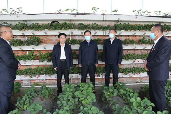 ������r(n��ng)�����F(tu��n)