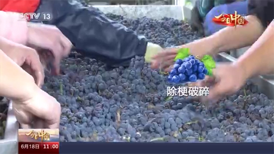 ʲô����ɫ��Ƭ����һ�����ѾƵ�����֮���_ʼ