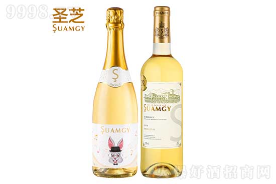 ʥ֥�㙉���ݾ�