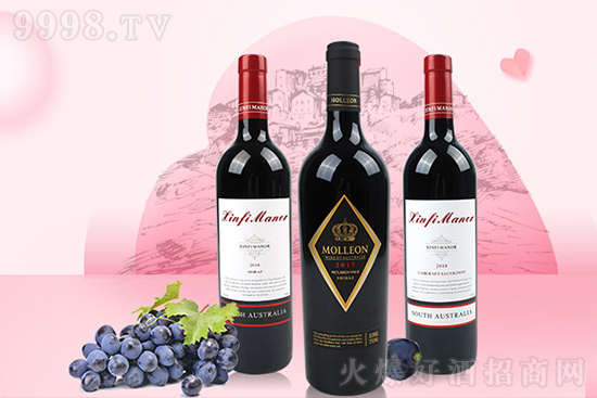 ������Ϧ��(ji��)�ăxʽ�У����x��һƿ�üt���_ʼ