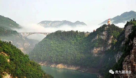 �F�Ž��ƘI(y��)��é�_�(zh��n)������֮̎����������