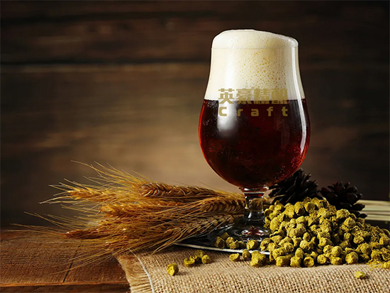 Ӳ������ơ����Ҋ�^������Ӣ΢���͐۾��