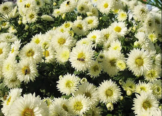 ���u��վ�حһ�K΢����һ��������