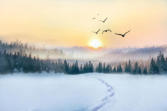 ���(y��ng)ԭ�ѾƘI(y��)�ɷ����޹�˾