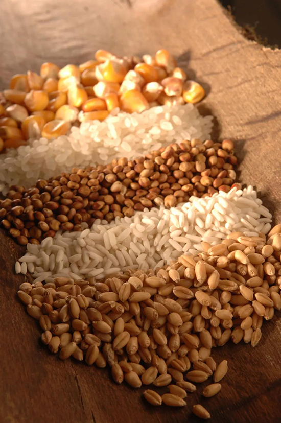 ��ɳ�u��1618