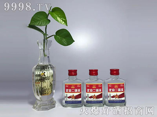 ���Ǳ�������^