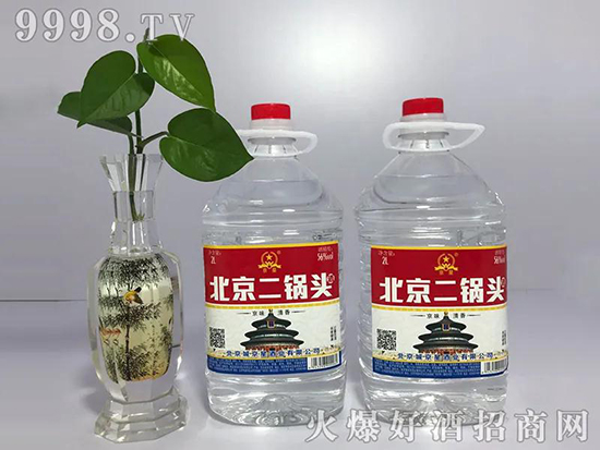 ���Ǳ�������^