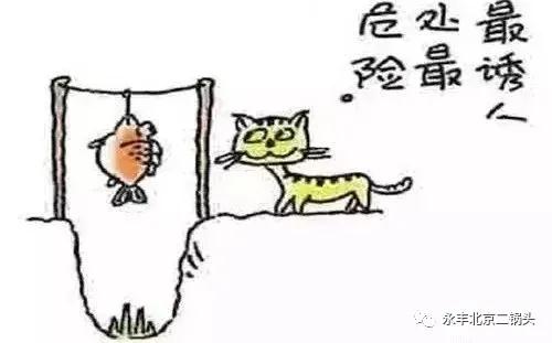 ���S��������^