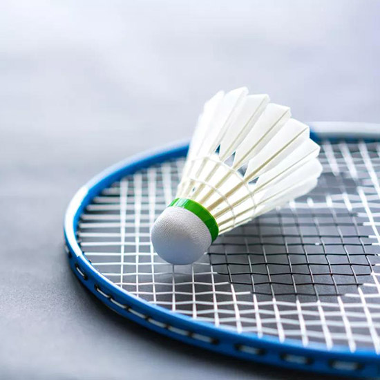 ��ɳ�u��1618