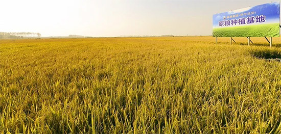 �٫@�J(r��n)������ӹɷݱ����衰ʡ��(j��)�������M(f��i)��(chu��ng)���\��Ʒ����I(y��)��