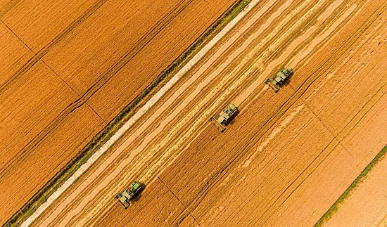 �ž�ؕ��2022�´��_���