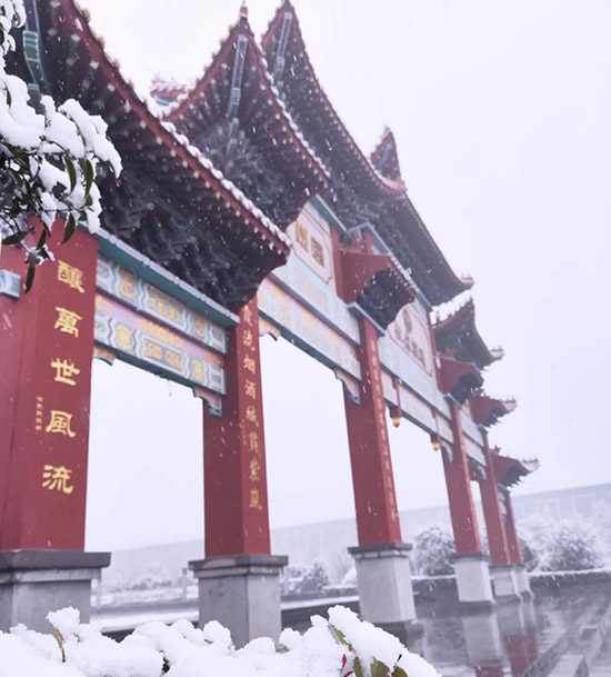 �ſ�ԭ�Ѿƣ������ʼ��ᄾ����