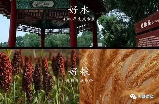 �ſ�ԭ�Ѿƣ������ʼ��ᄾ����