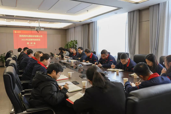 ���P�ɷݹ�˾���_2022�귨���L(f��ng)�U(xi��n)������Մ��(hu��)