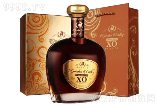 40�㷨�����Ɓ����@��XO���m��700ml�r(ji��)���������X��