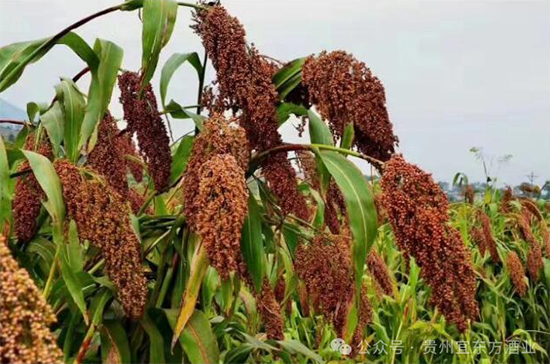 ���˖|���ث@�Ї��ƘI(y��)�A�Ī����I���u���³���