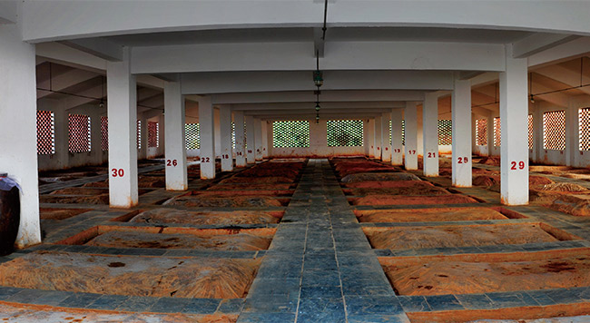 ���ݶ���30�����Ͱ׾ơ�50��500ml��