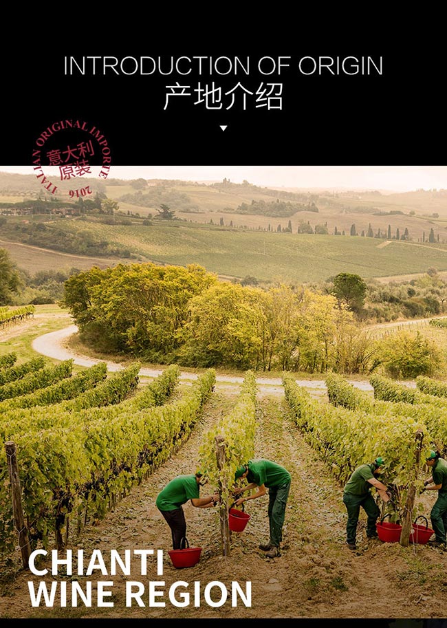 ����������ῲ��������Ѿ�