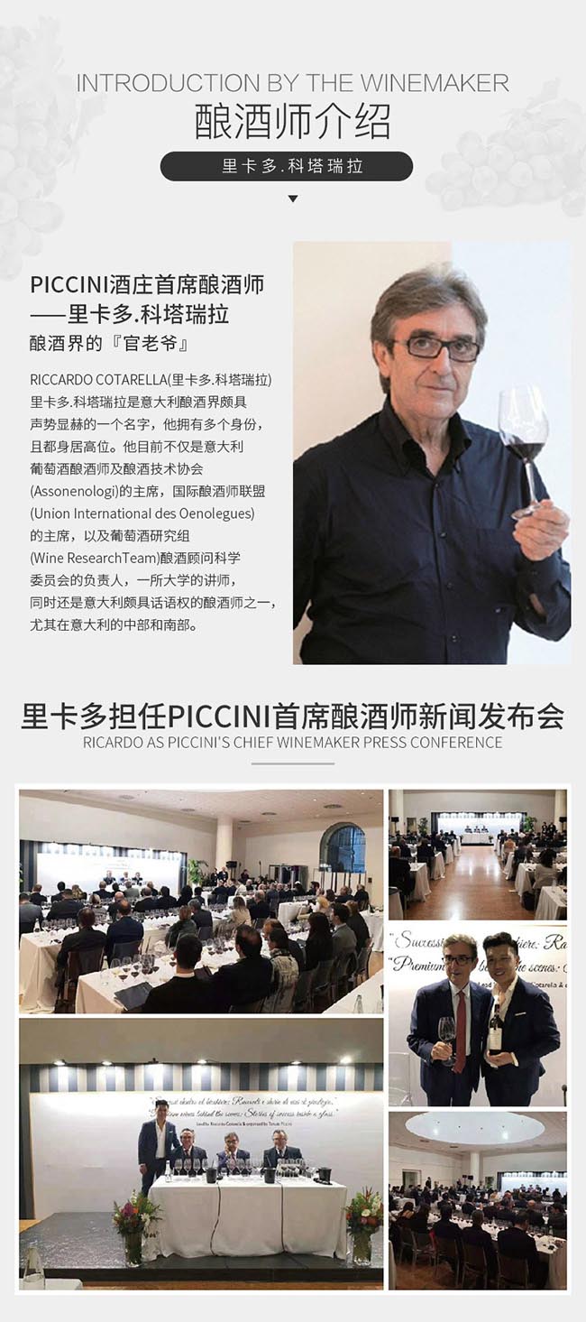 彼奇尼羅盤玫瑰起泡酒