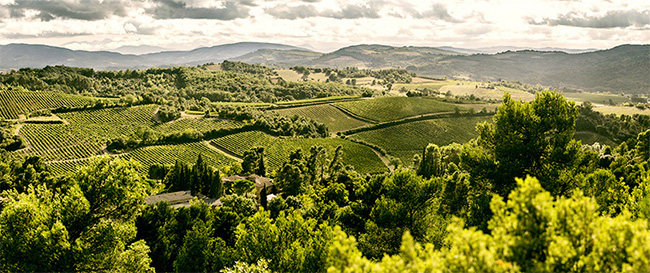 �{�ơ����x�ɼt���Ѿ�