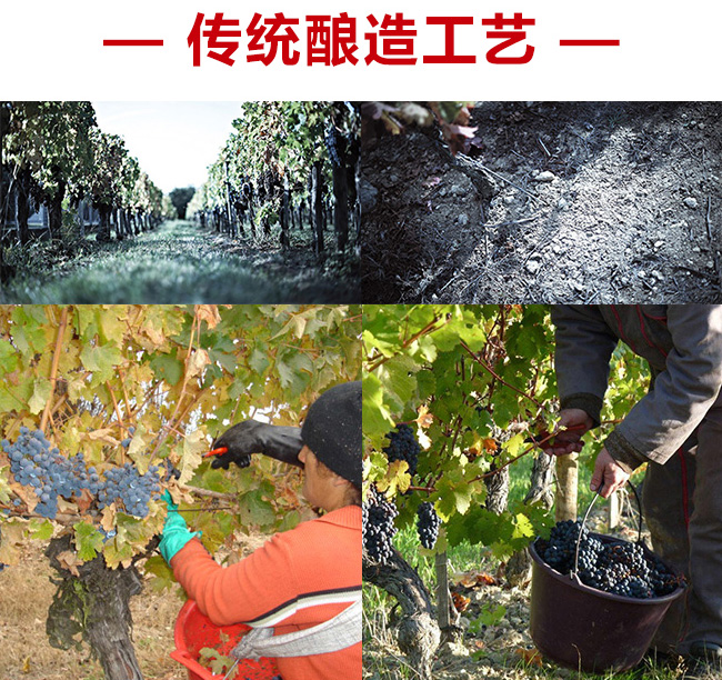 �{�ơ����x�ɼt���Ѿ�