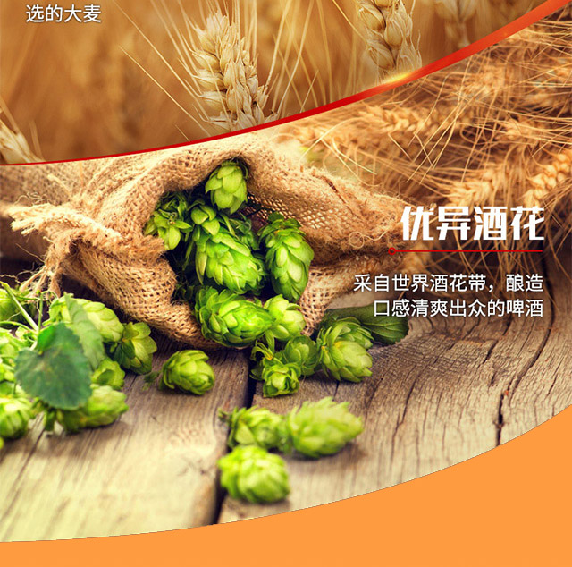 青島卡夫特啤酒有限公司