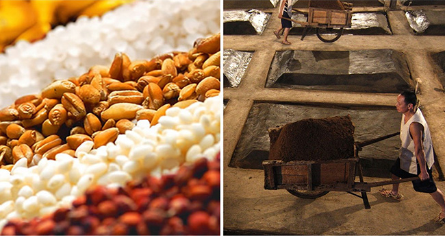 輝煌騰達(dá)酒·珍品