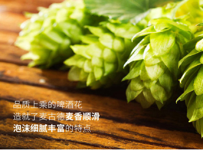 ��Դ��ᄰ�ơ��500ml