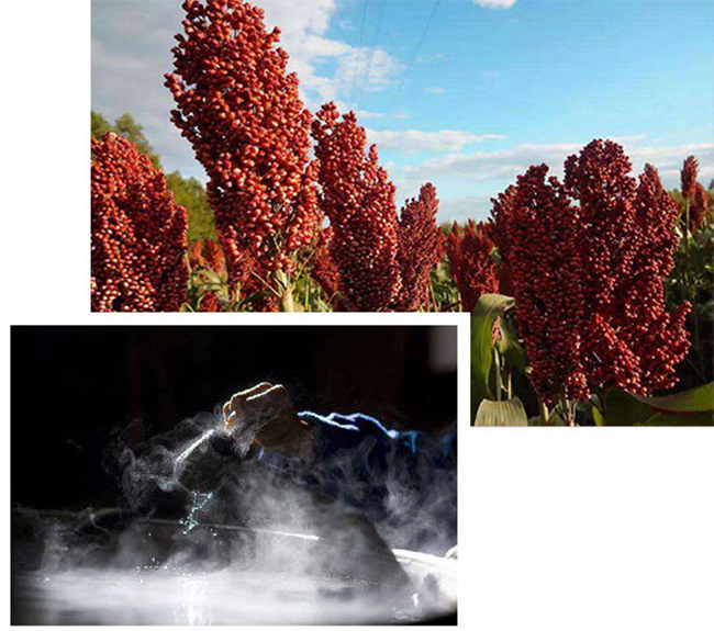 金口玉言茶缸酒