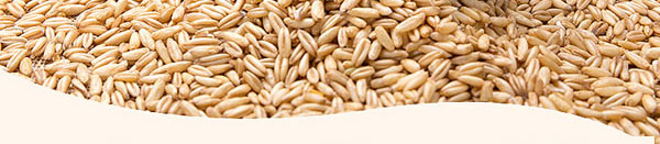 ��ϲ�¾�-ϲ�Y(ji��)����