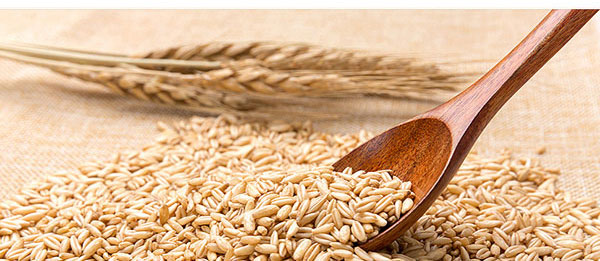 ��ϲ�¾�-ϲ�Y(ji��)����