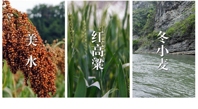 牛莊特曲酒窖藏10-500ml