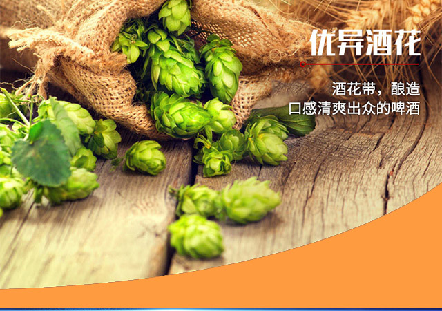 嶗世家純生啤酒