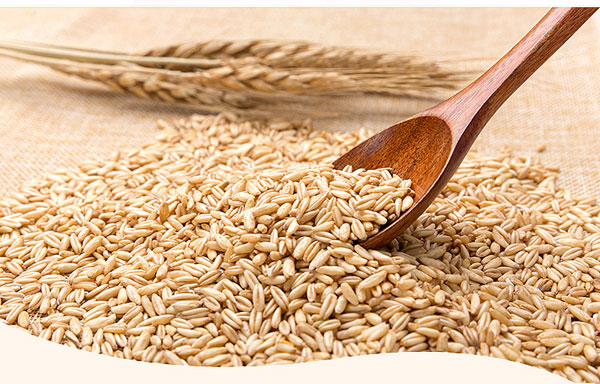 ��ϲ�¾�-���