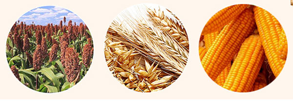 ��ϲ�¾�-���