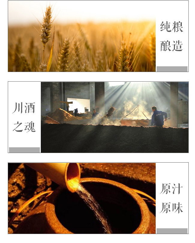 福贏家苦蕎酒喜蕎喜蕎喜蕎喜蕎喜蕎